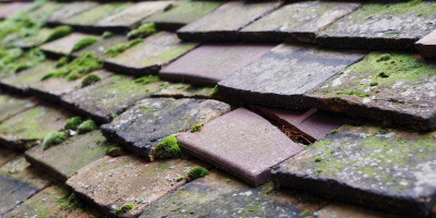Seacombe roof repair costs
